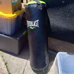 Punching Bag