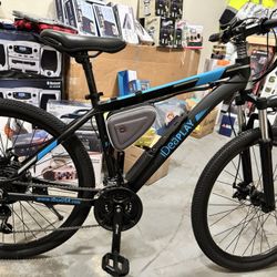 Electric Bike 