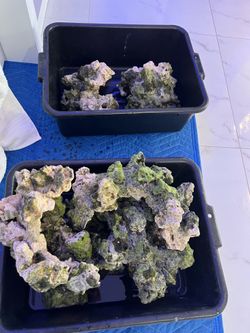Hundreds of pounds of rock