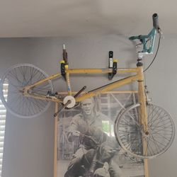 Haro Response