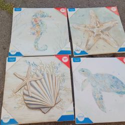beach frames 