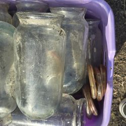 Glass Globes With Plugs