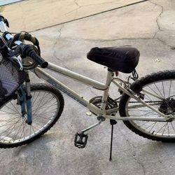 Bike Woman 24"