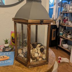 Large Glass Terrarium 