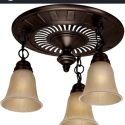 Bath Fan with light