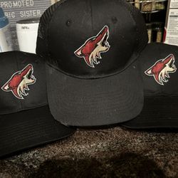 Arizona Coyotes Hats