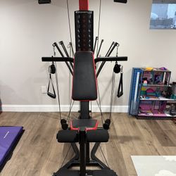 Bowflex PR3000 Home Gym