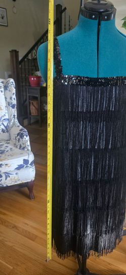 Flapper Fring Costume  or Dress