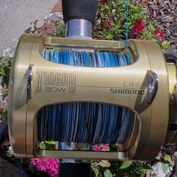 Shimano Tiagra Reel/Braid/Chaos Rod