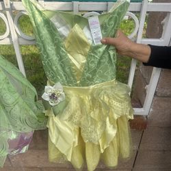 Original Disney Dresses