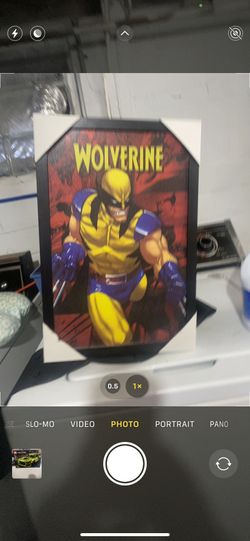 Wolverine Picture
