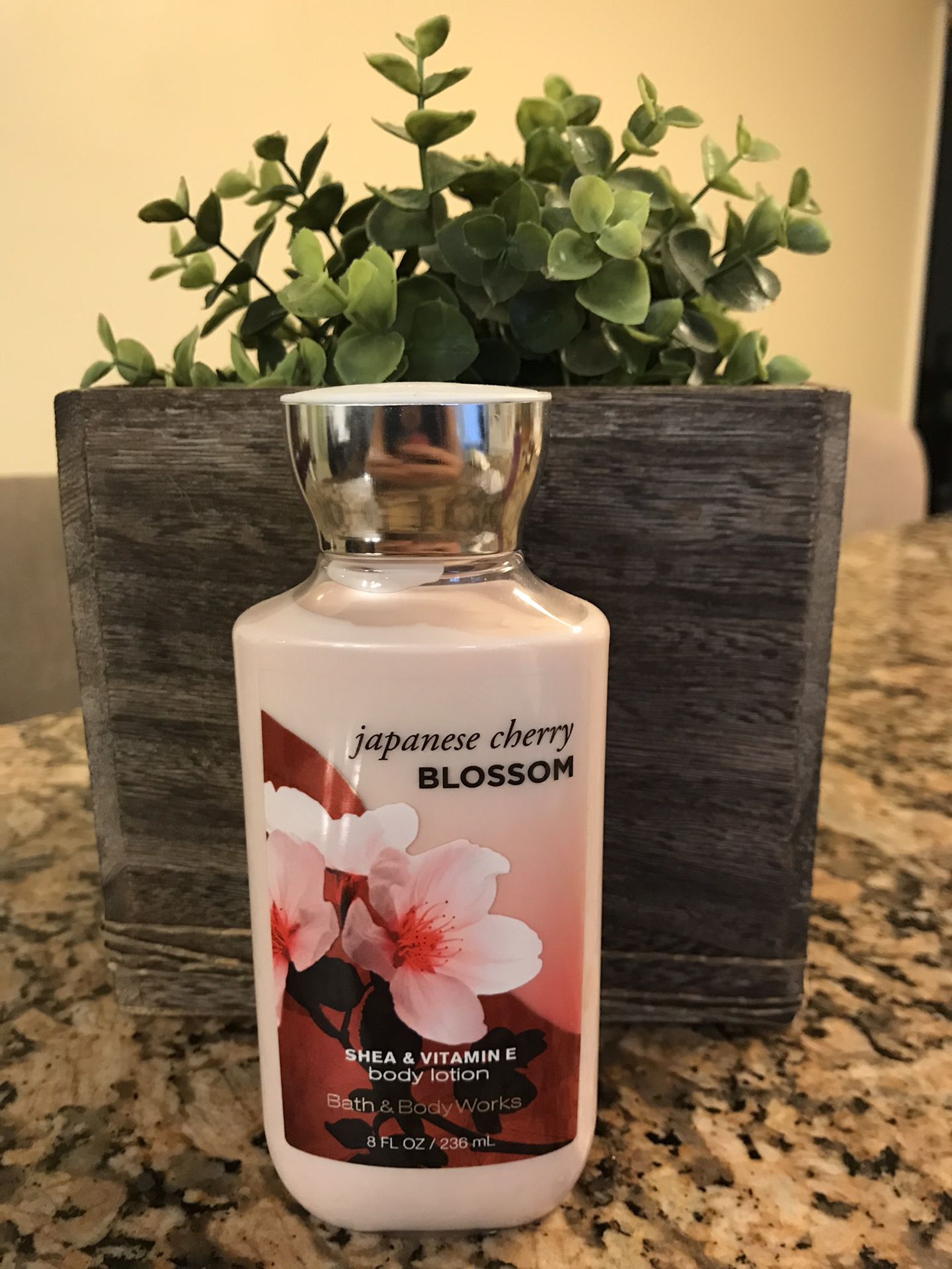 Bath & Body Works - Japanese Cherry Blossom Body Lotion