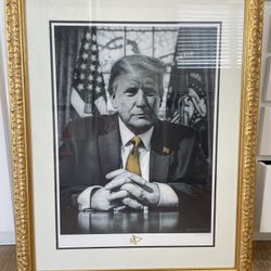 Presidential Portrait 