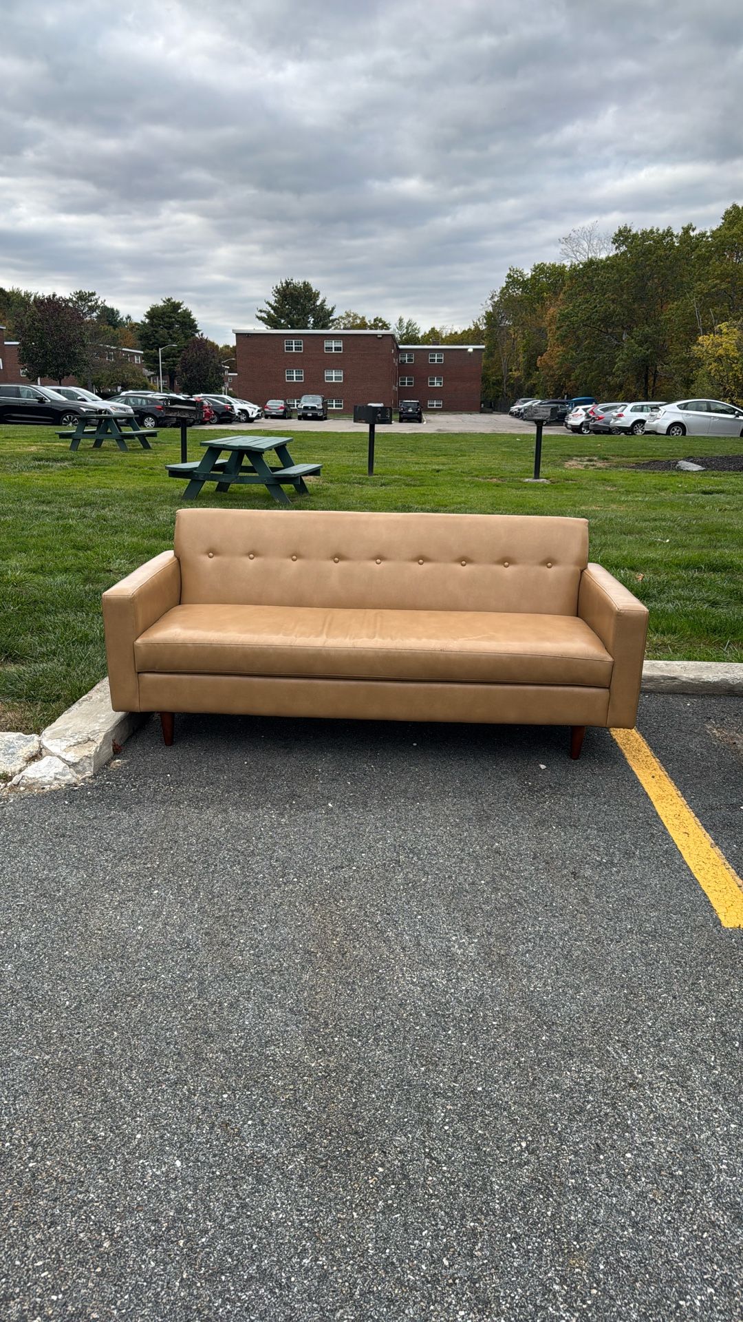 Free Leather Couch