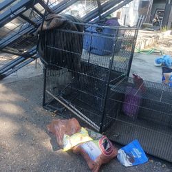 Bird Cage 
