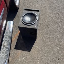 12” RE SC subwoofer