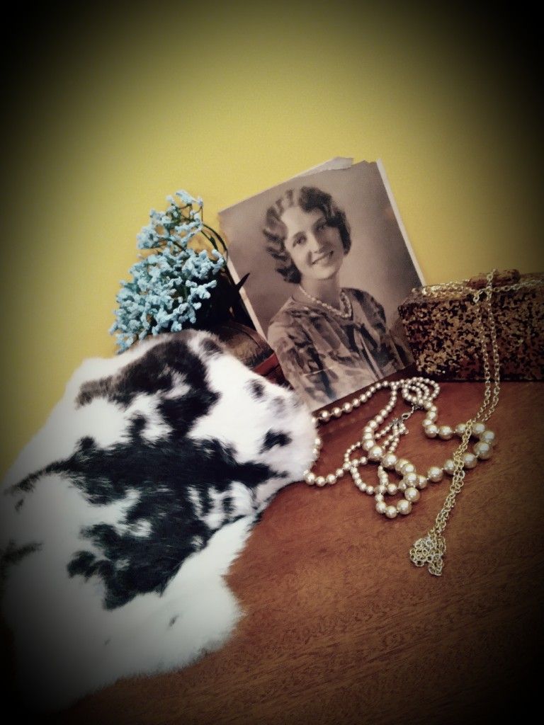 2 Real Rabbit Fur Pelts. $90 for both