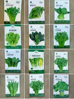 ASIAN VEGETABLE SEEDS 亚洲蔬菜种子