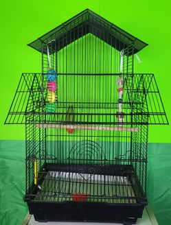 Bird Cage