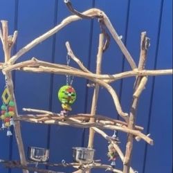 Small Bird Perch Tree- Your FAV Cockatiel Conure Or Ringneck Etc Needs A New Hangout Spot !! 👍🏼