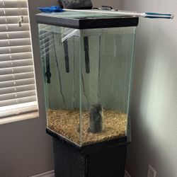 Fish Tank