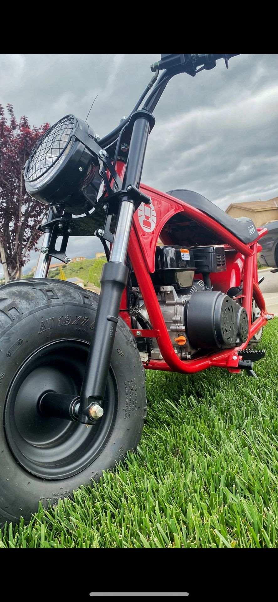 Mini Bike