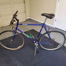 Nishiki Meridian Bicycle