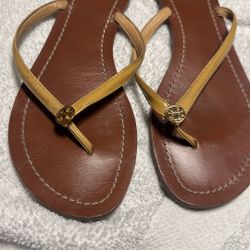 shies