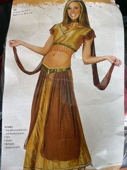 Belly dancer Halloween costume