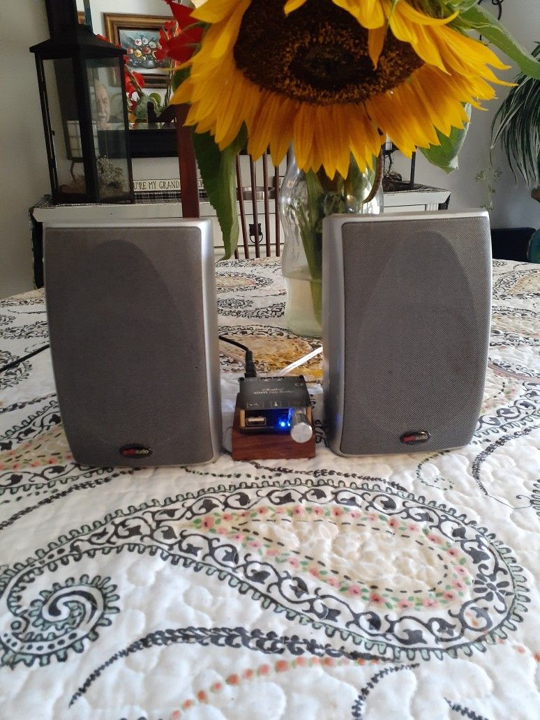 Polk Audio Speakers With New BT Amplifier