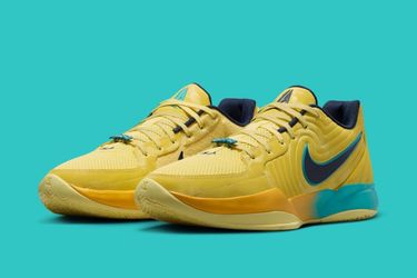 Nike Air Zoom Basketball Sneakers