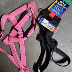 Pet Harness 