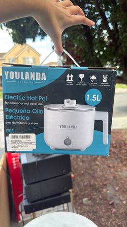 Electric hot pot