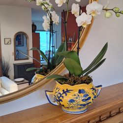 Chinoiserie Blue & Yellow Porcelain Two-Handled Bowl – Decorative Planter