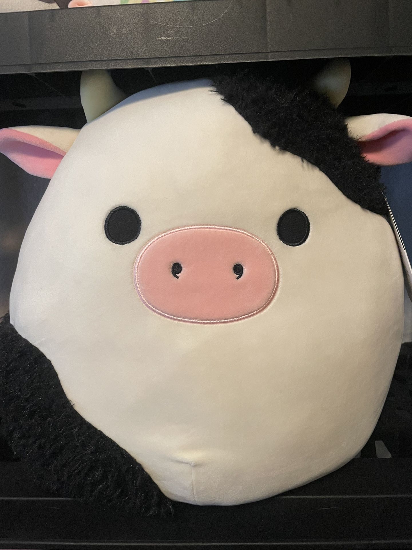 16” Connor The Cow (Sherpa Fur, Black Nostrils) Squishmallow