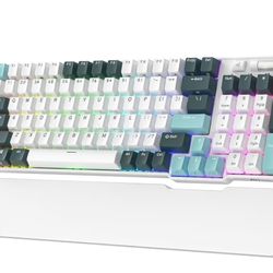 Royal Kludge RK96 RGB Limited Edition 96 Keys , brand new