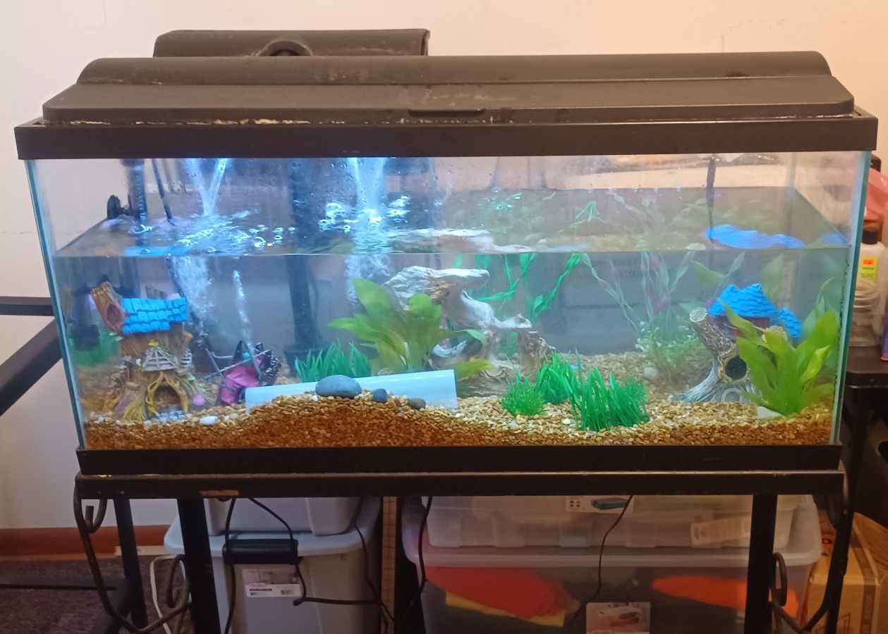 30 Gallon Fish Tank and Stand