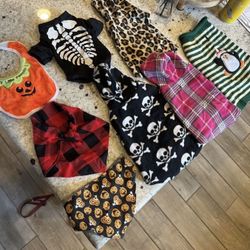 Assorted Lot Of Small Dog Clothes 