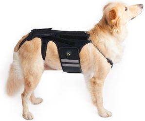 Coodeo Dog Back Brace XX-Large 2XL Black Adjustable Support New