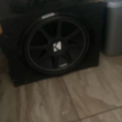 15 Inch Kicker 8