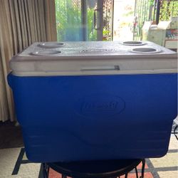 Coleman 36 Qt Cooler One Flaw On Bottom  