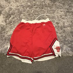 NBA Bulls Shorts