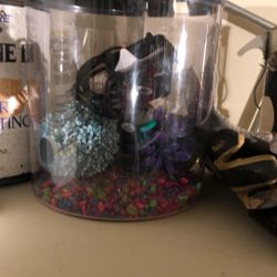 Fish Tank With Accessories 