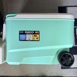 Igloo Cooler 38 Qt. 