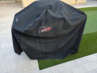 BBQ Gas Grill