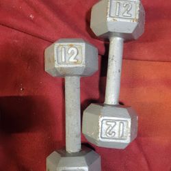 SET OF 12LB.  HEXHEAD DUMBBELLS TOTAL 24LBs 
11525 S HALSTED DUNKIN DONUTS/7111.S WESTERN WALGREENS 
20$  CASH ONLY AS IS 