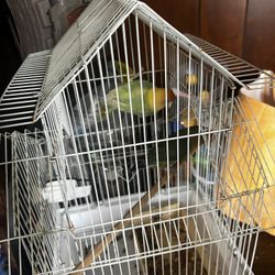 Cage 