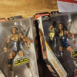 NXT Black and Gold American Alpha 2016