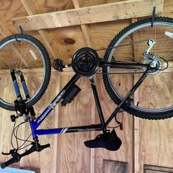 Roadmaster Mountain Bike
