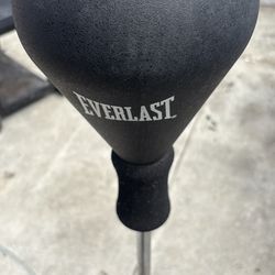 Everlast punching